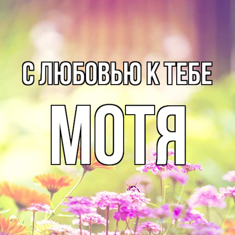 Картинка С любовью к тебе, Мотя