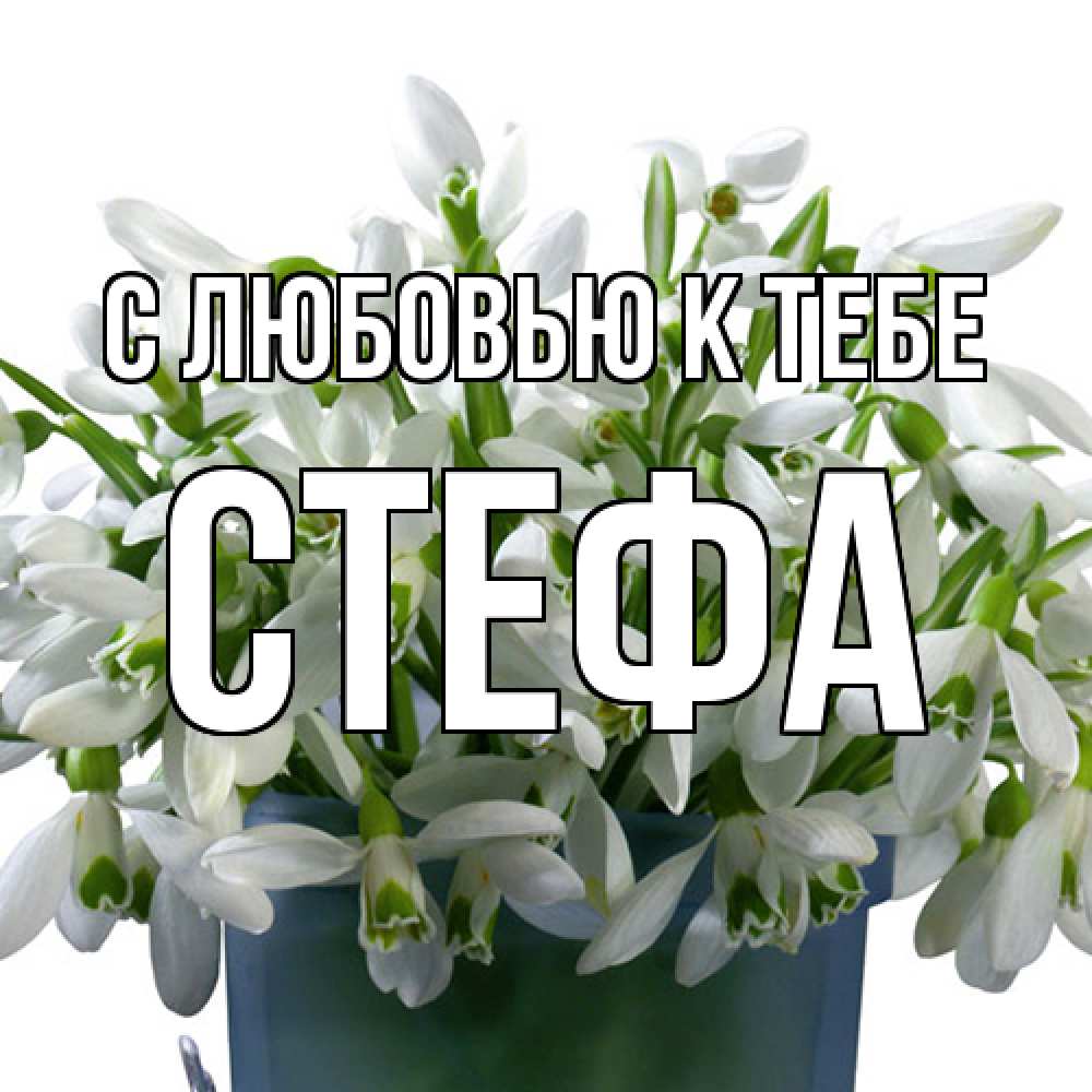 Открытка  с именем. стефа, С любовью к тебе  