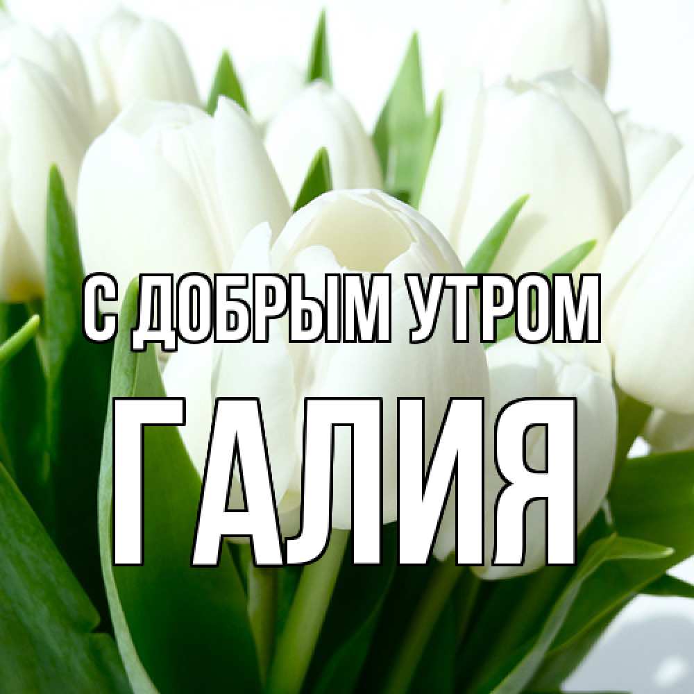 Открытка  с именем. Галия, С добрым утром  