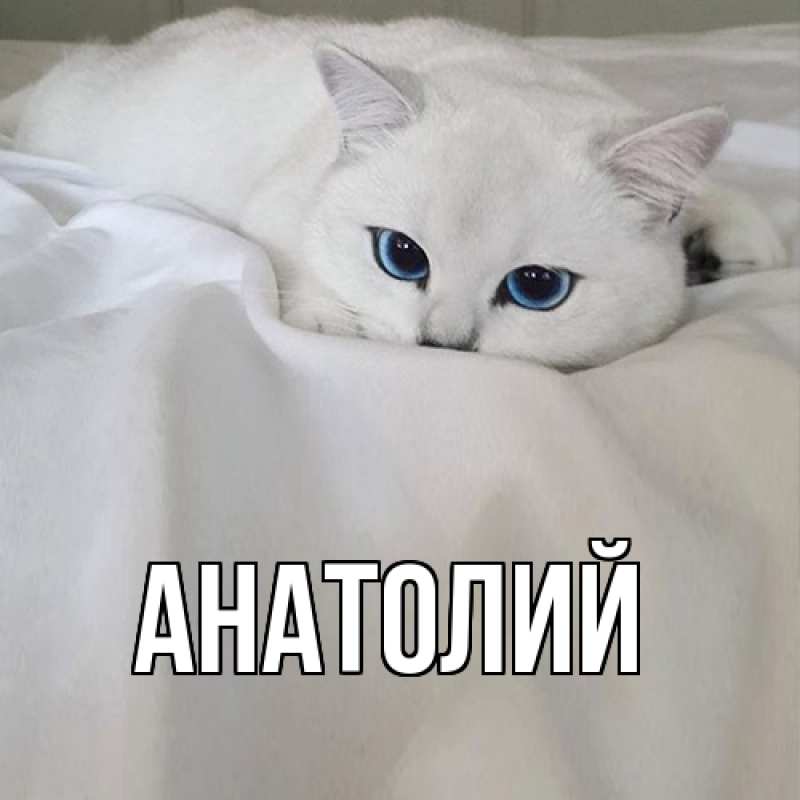 Картинка  с именем , Анатолий
