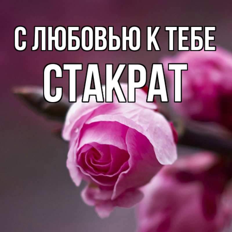 Картинка С любовью к тебе, Стакрат