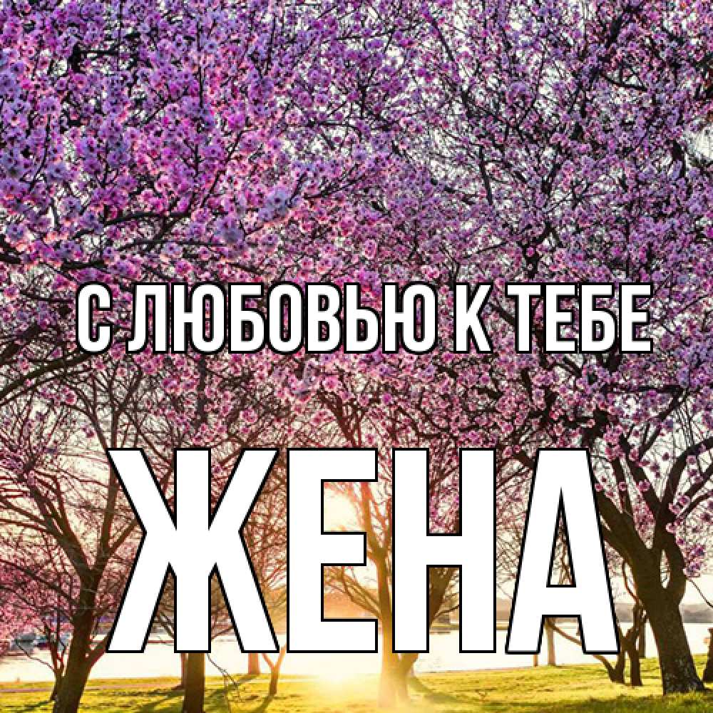 Открытка  с именем. Жена, С любовью к тебе  