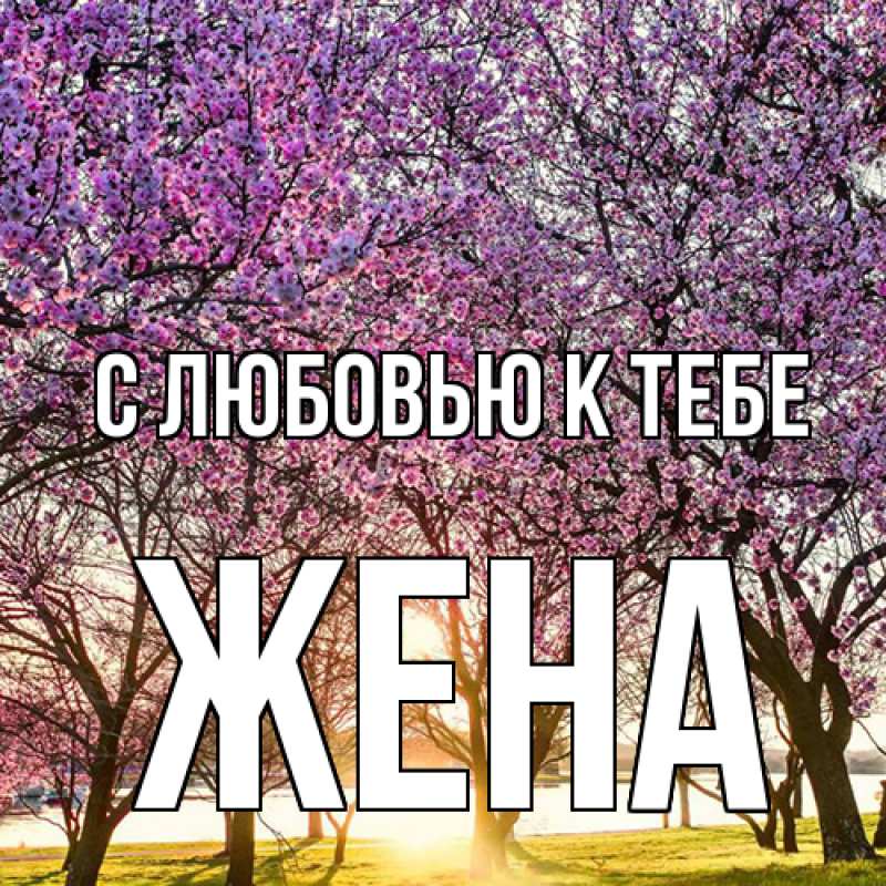 Картинка С любовью к тебе, Жена