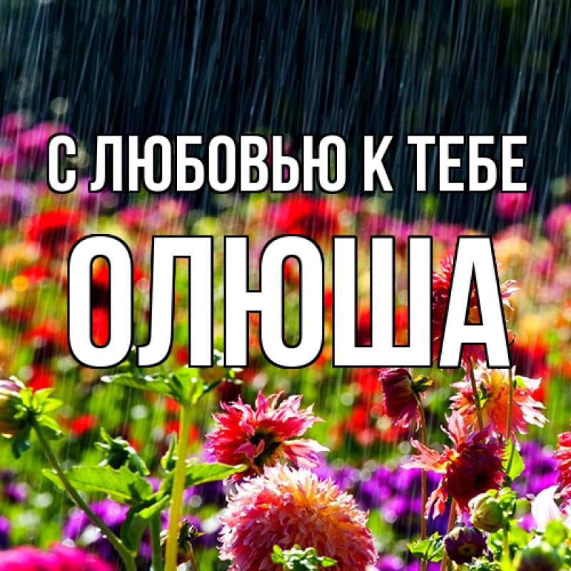 Картинка С любовью к тебе, Олюша