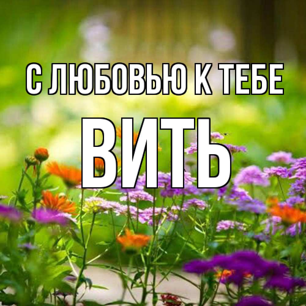 Открытка  с именем. Вить, С любовью к тебе  