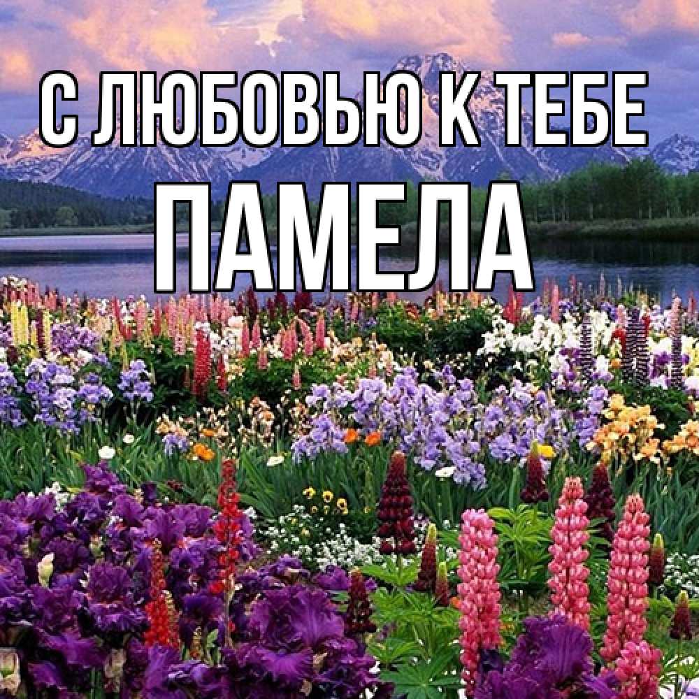 Открытка  с именем. Памела, С любовью к тебе  