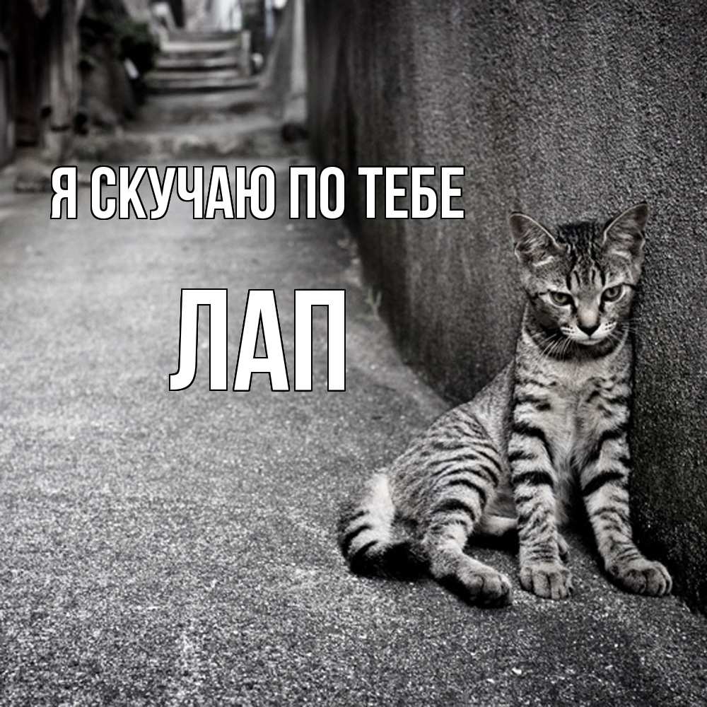 Открытка  с именем. Лап, Я скучаю по тебе  