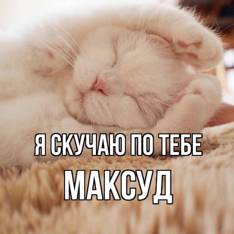 Картинка Я скучаю по тебе, Максуд
