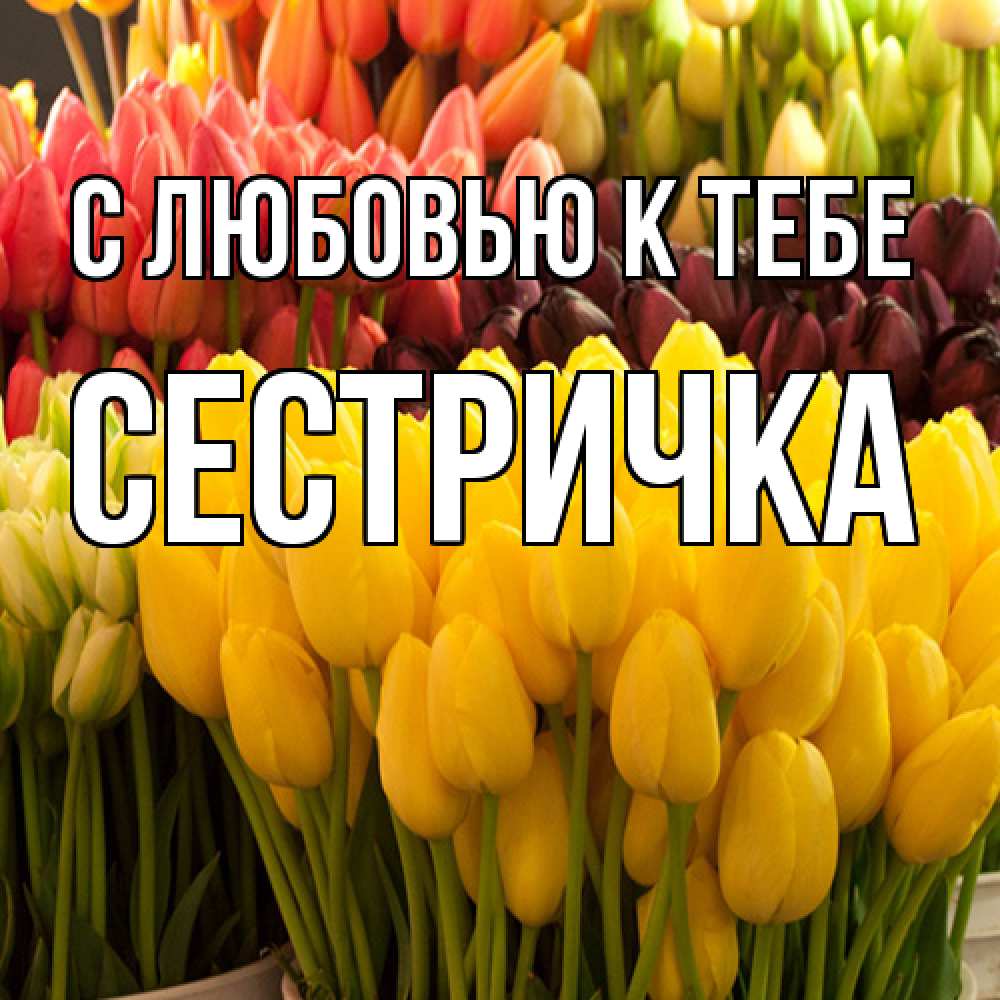 Открытка  с именем. Сестричка, С любовью к тебе  