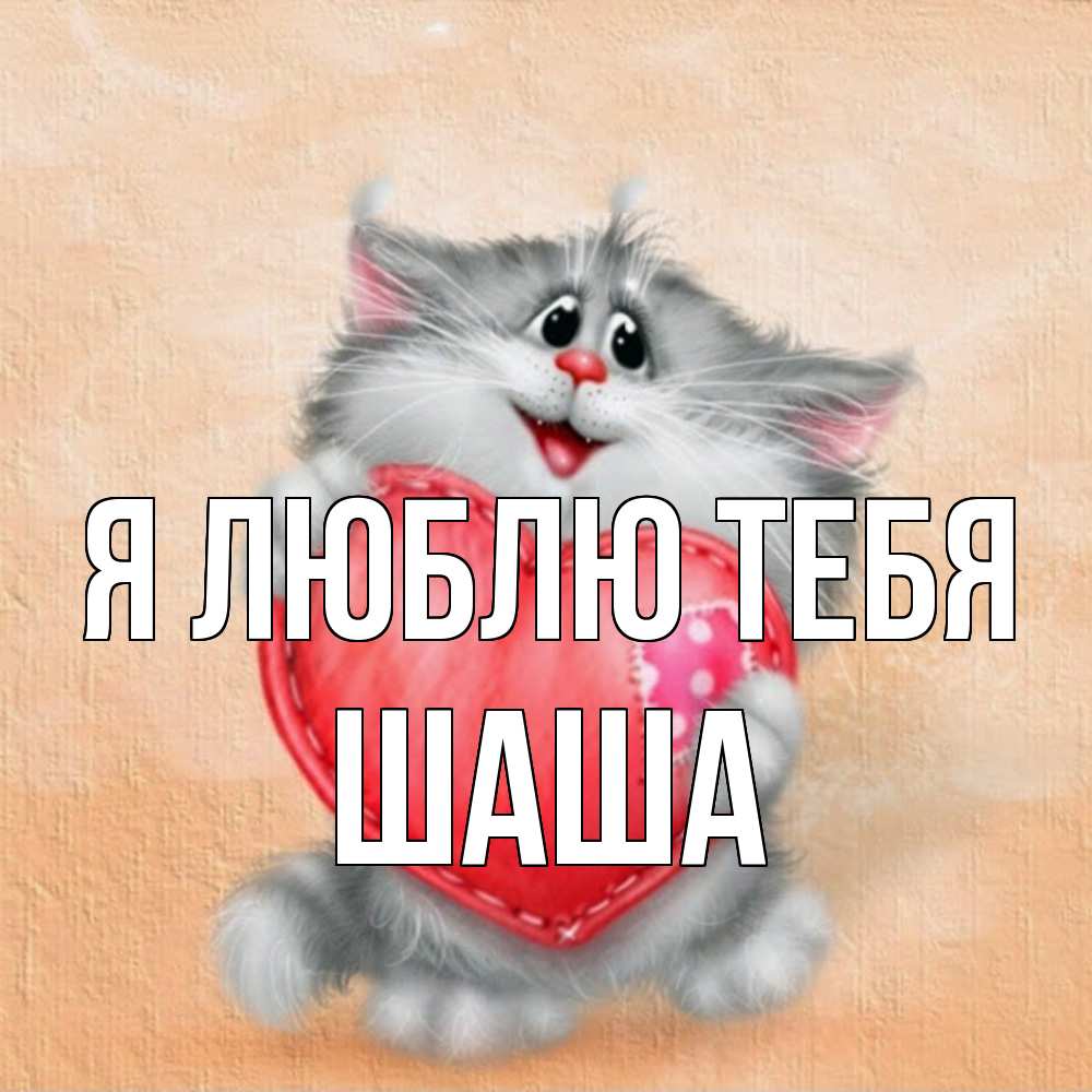 Открытка  с именем. Шаша, Я люблю тебя  