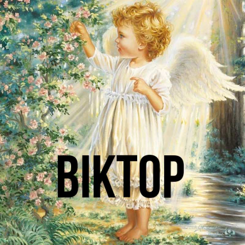 Картинка  с именем , Віктор