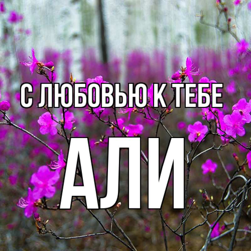 Картинка С любовью к тебе, Али