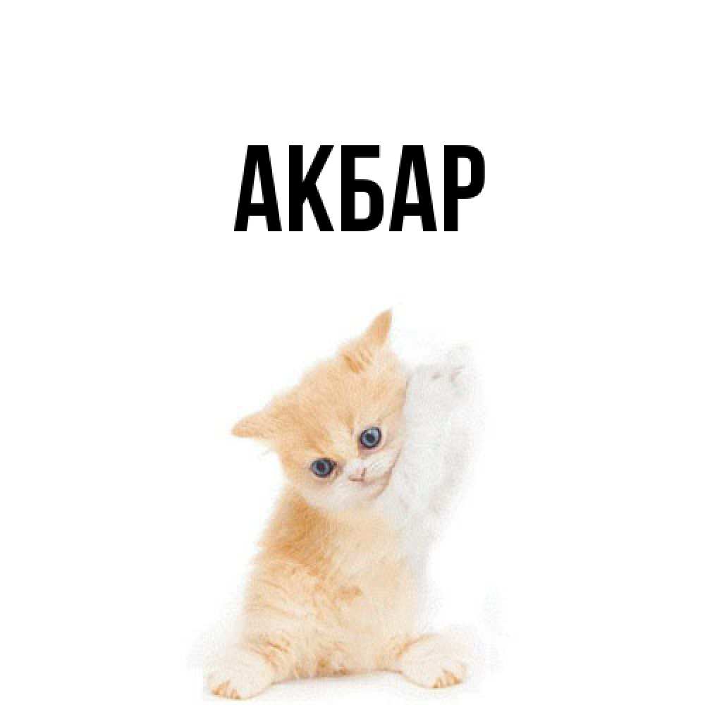 Открытка  с именем. Акбар, Главная  