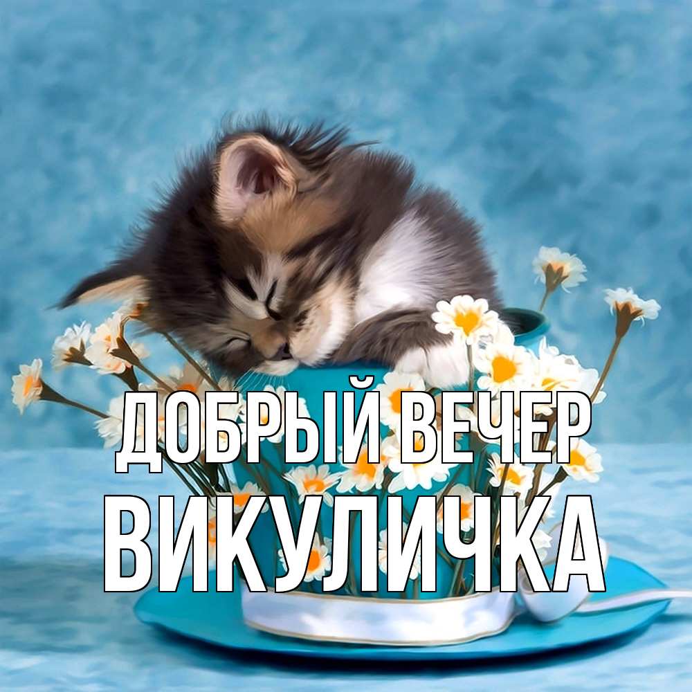 Открытка  с именем. Викуличка, Добрый вечер  