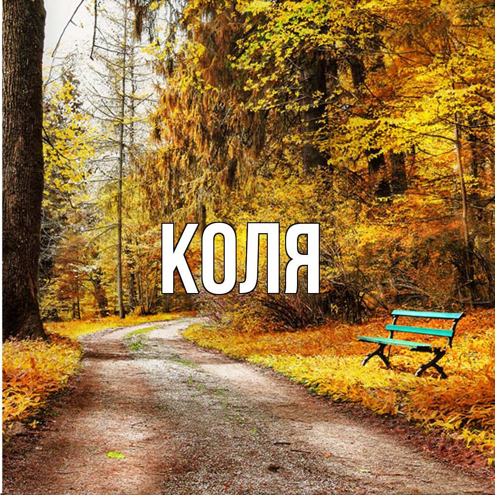 Открытка  с именем. коля, Главная  
