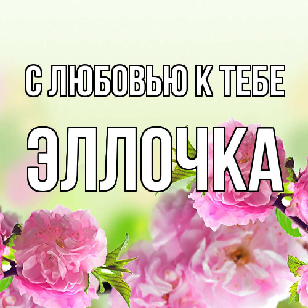 Открытка  с именем. Эллочка, С любовью к тебе  