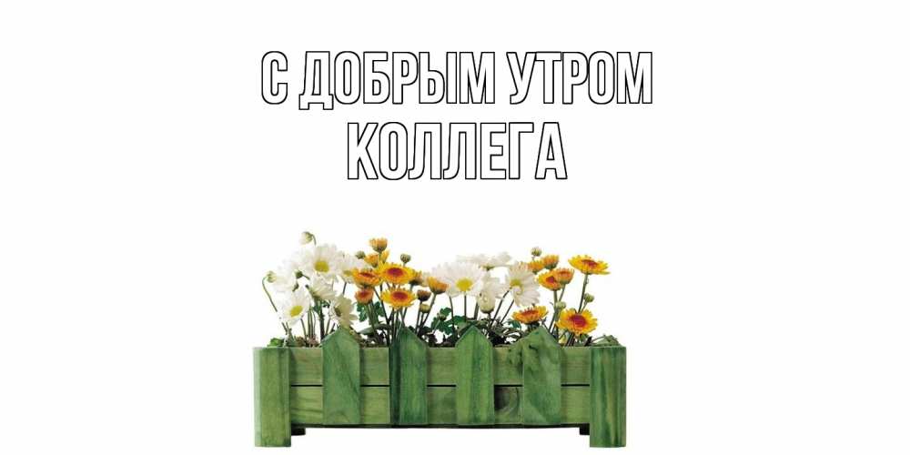 Открытка  с именем. коллега, С добрым утром  
