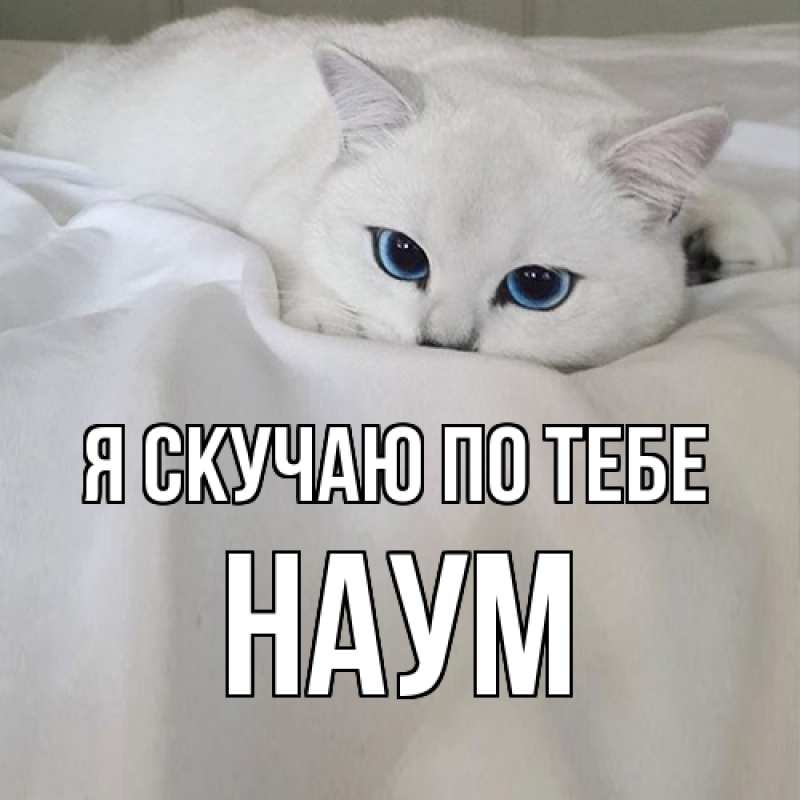 Картинка Я скучаю по тебе, Наум
