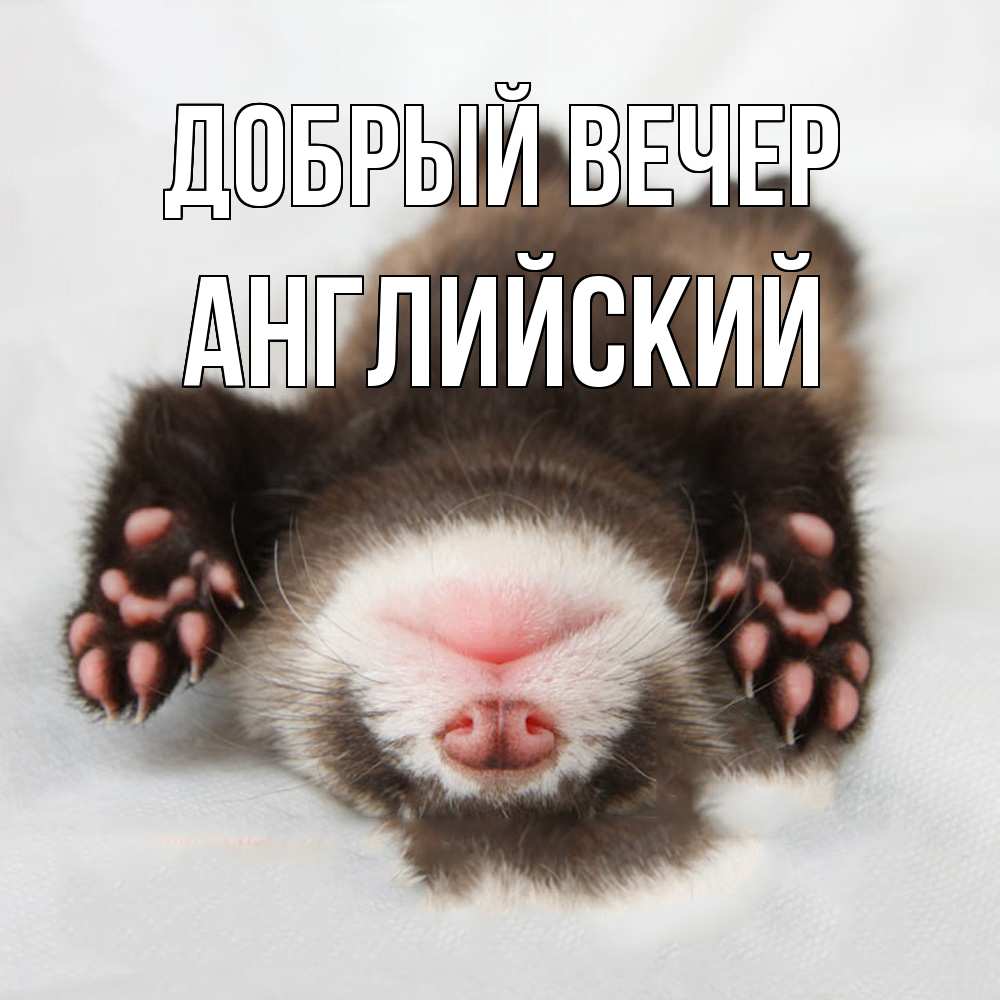 Открытка  с именем. Английский, Добрый вечер  