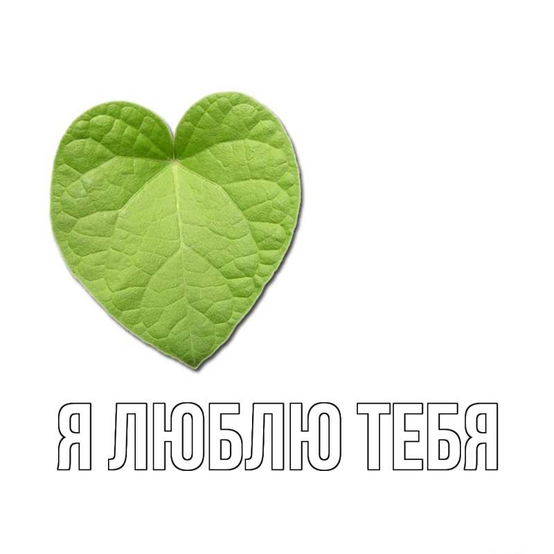 Картинка Я люблю тебя, 