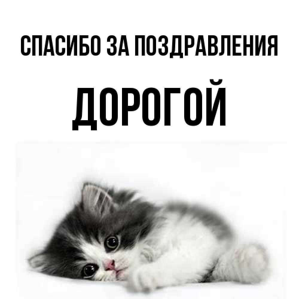 Открытка  с именем. Дорогой, Спасибо за поздравления  