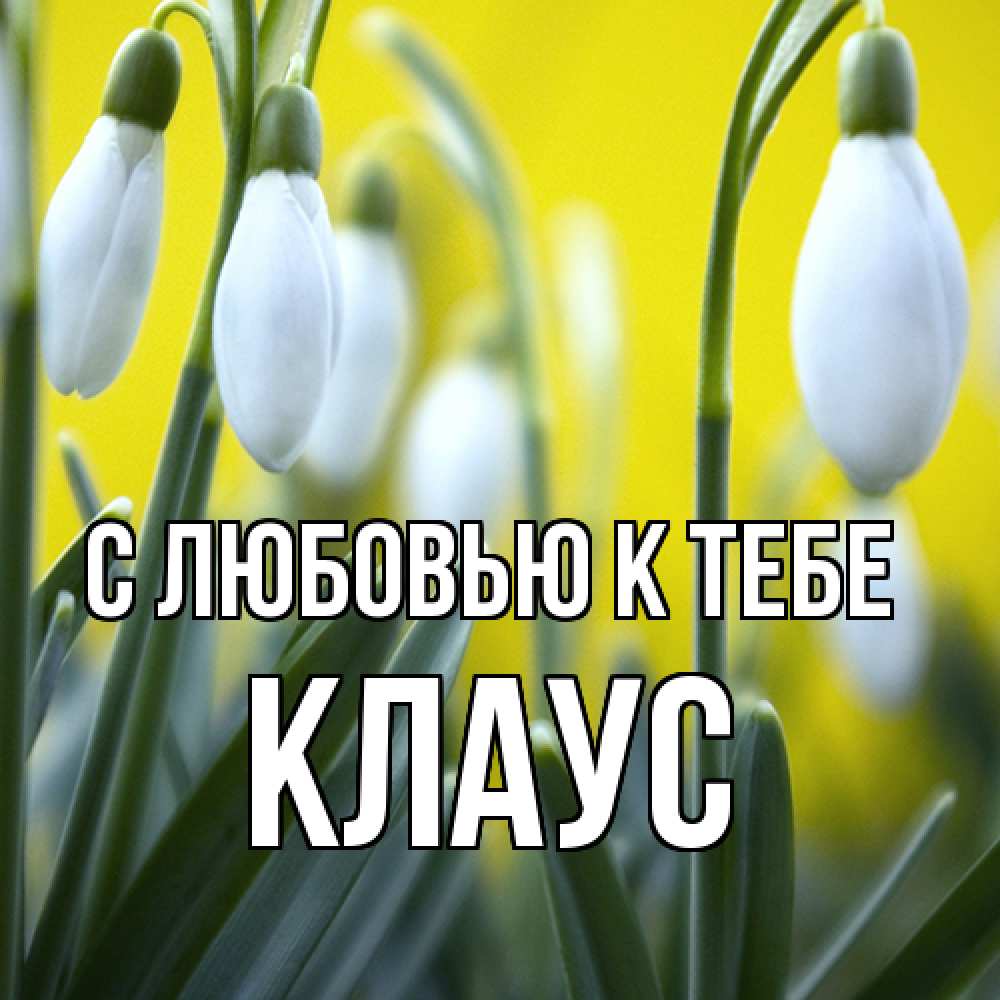 Открытка  с именем. Клаус, С любовью к тебе  