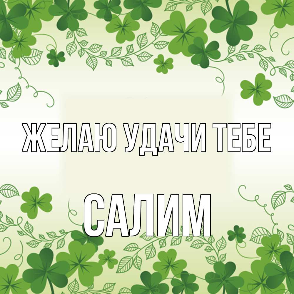 Открытка  с именем. Салим, Желаю удачи тебе  