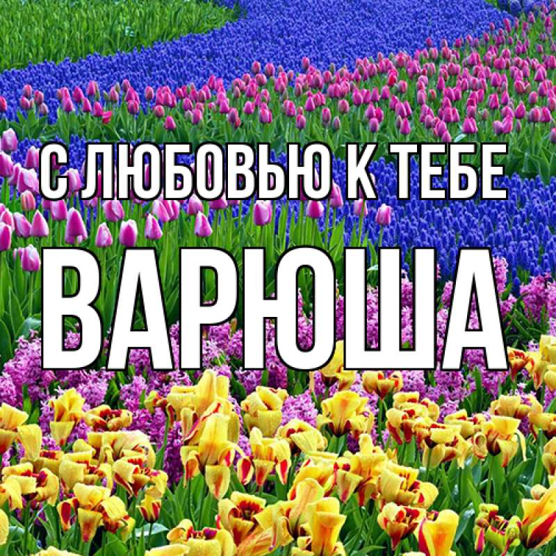 Картинка С любовью к тебе, Варюша
