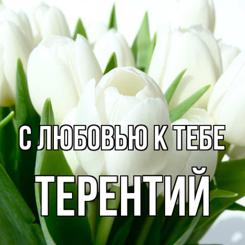 Картинка С любовью к тебе, Терентий