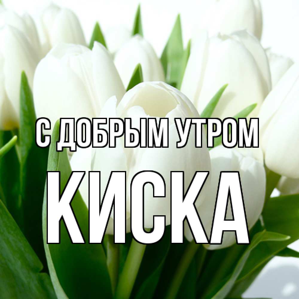 Открытка  с именем. Киска, С добрым утром  