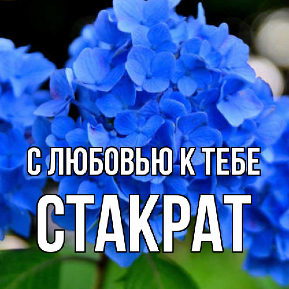 Открытка  с именем. Стакрат, С любовью к тебе  