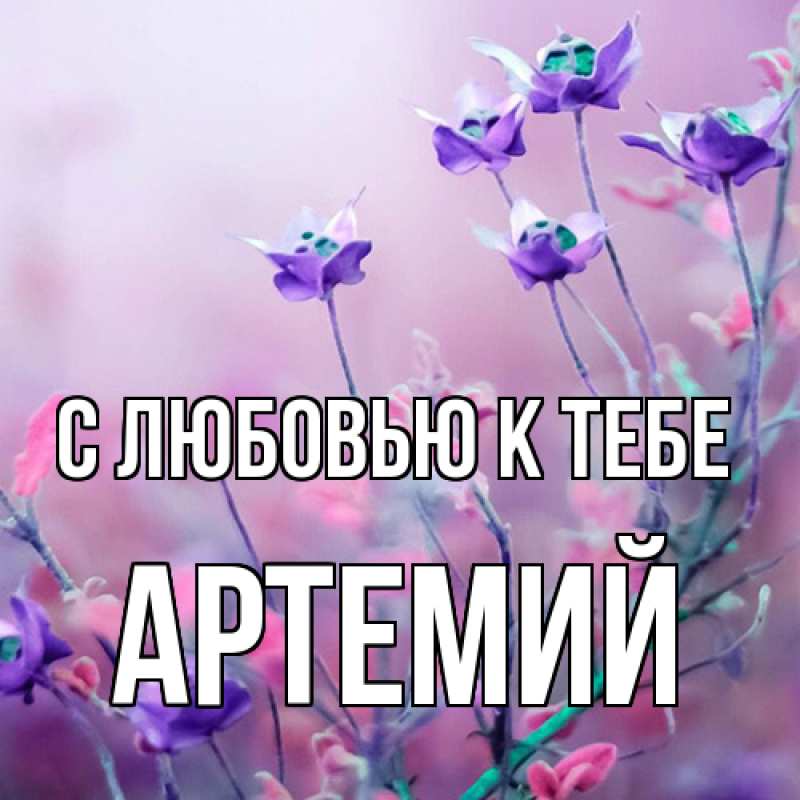 Картинка С любовью к тебе, Артемий