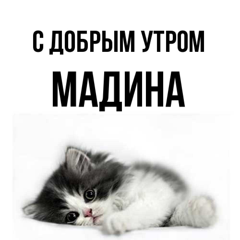 Открытка  с именем. Мадина, С добрым утром  