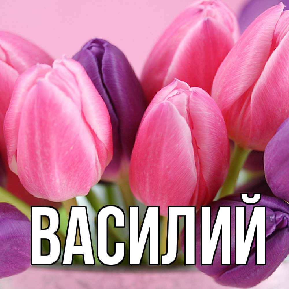 Открытка  с именем. Василий, Главная  