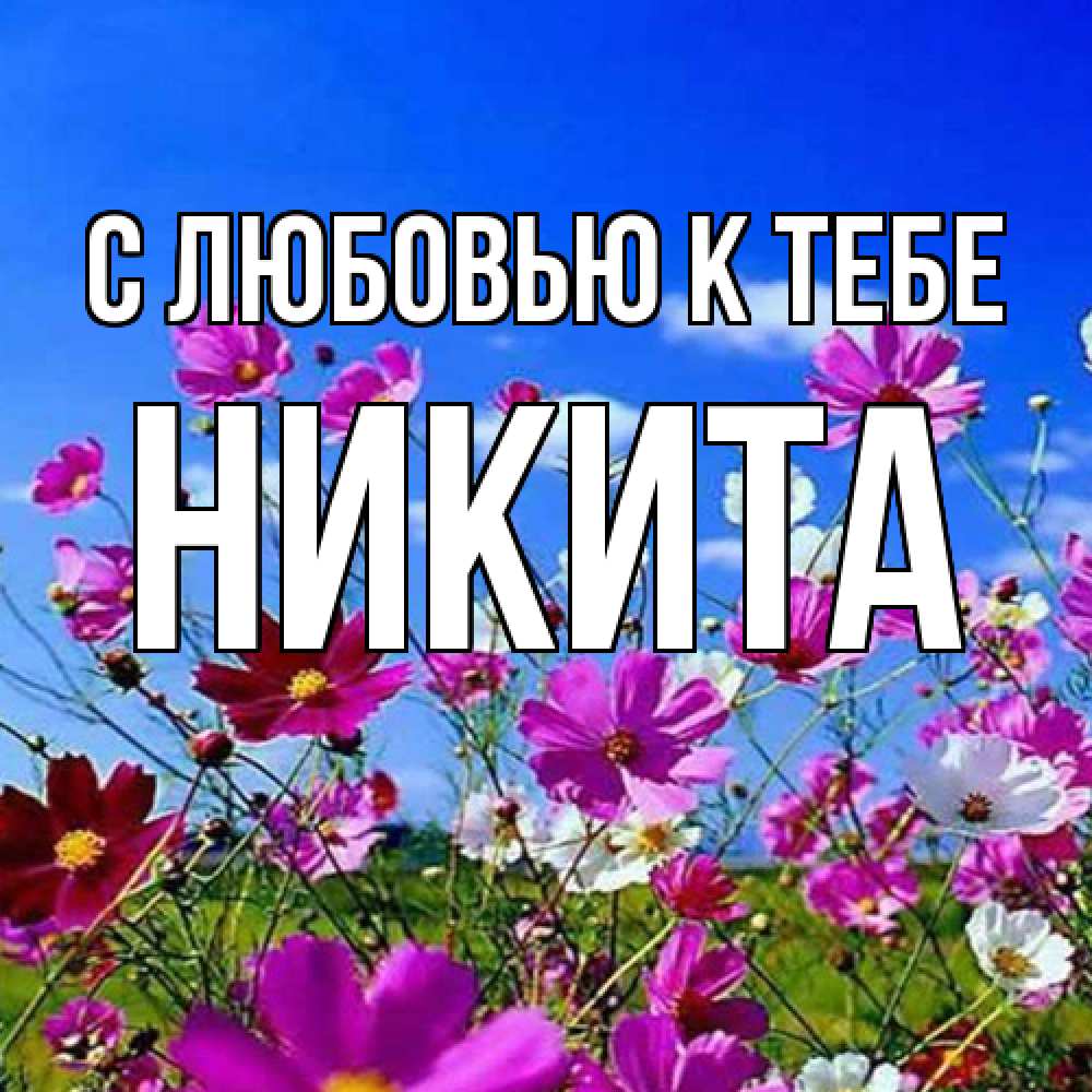 Открытка  с именем. Никита, С любовью к тебе  