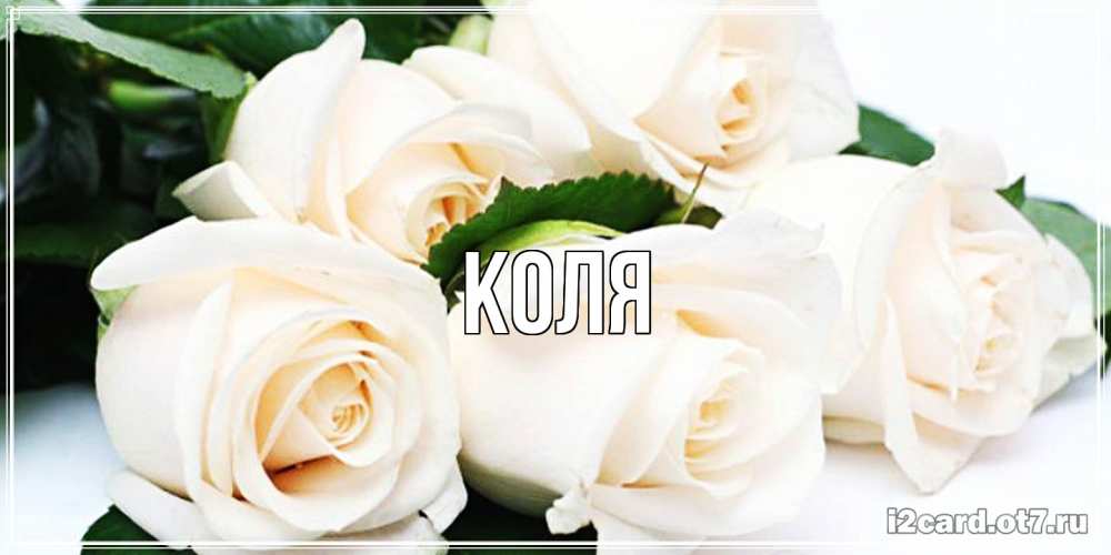Открытка  с именем. коля, Главная  