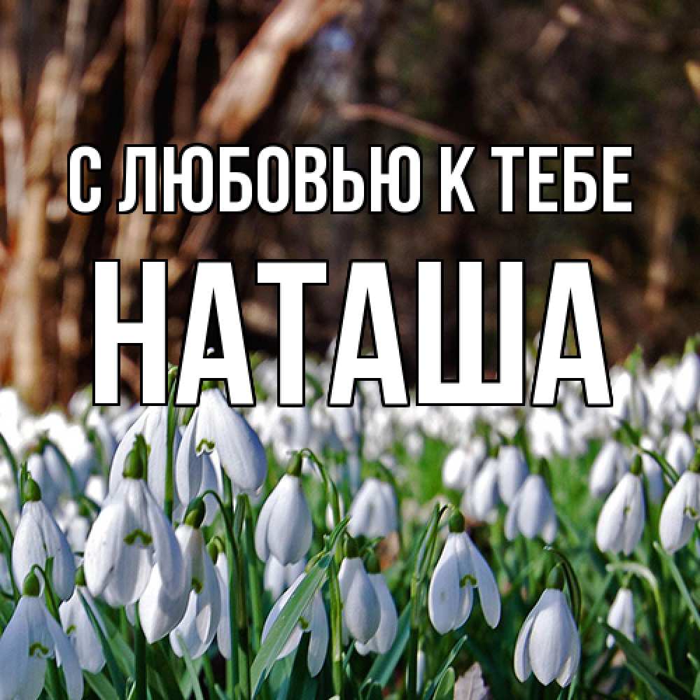 Открытка  с именем. Наташа, С любовью к тебе  