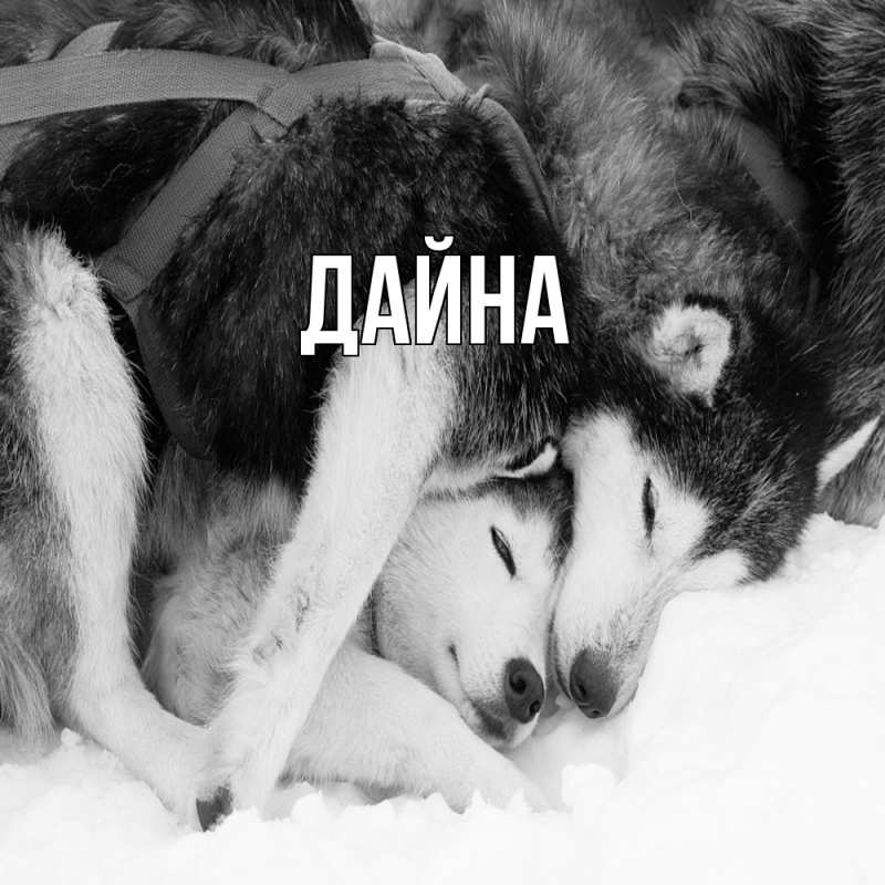 Картинка  с именем , Дайна