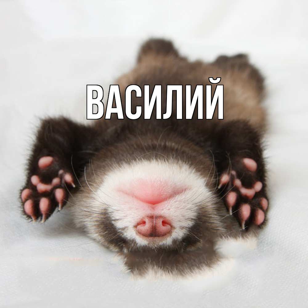 Открытка  с именем. Василий, Главная  