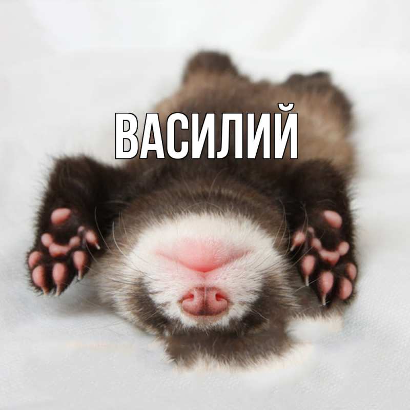 Картинка  с именем , Василий