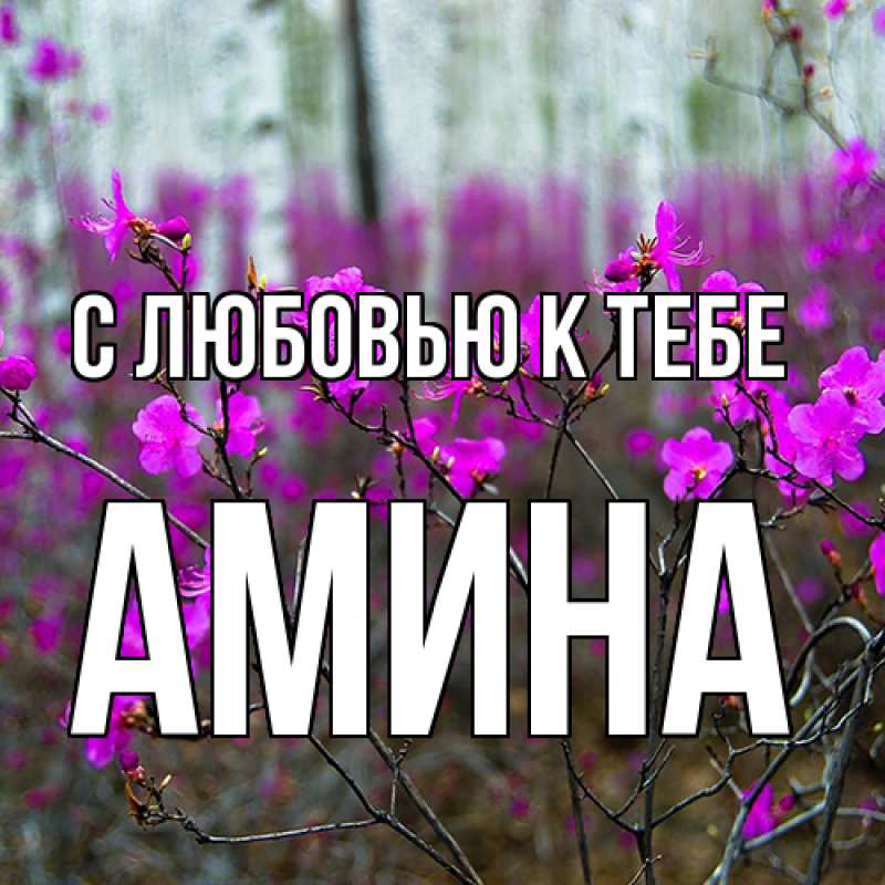 Картинка С любовью к тебе, Амина