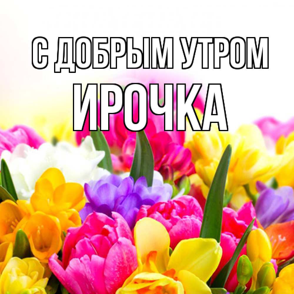Открытка  с именем. Ирочка, С добрым утром  