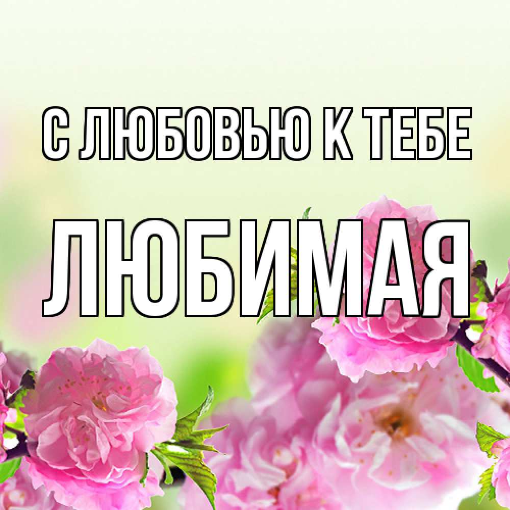 Открытка  с именем. Любимая, С любовью к тебе  