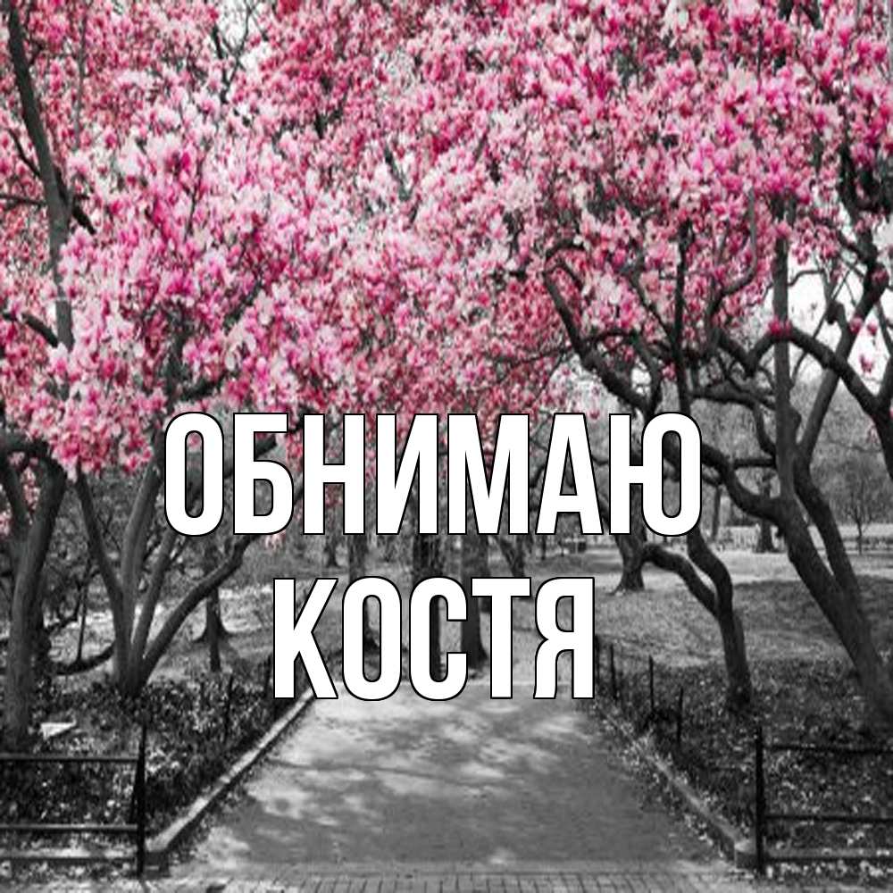 Открытка  с именем. костя, Обнимаю  