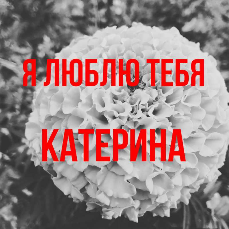 Картинка Я люблю тебя, Катерина