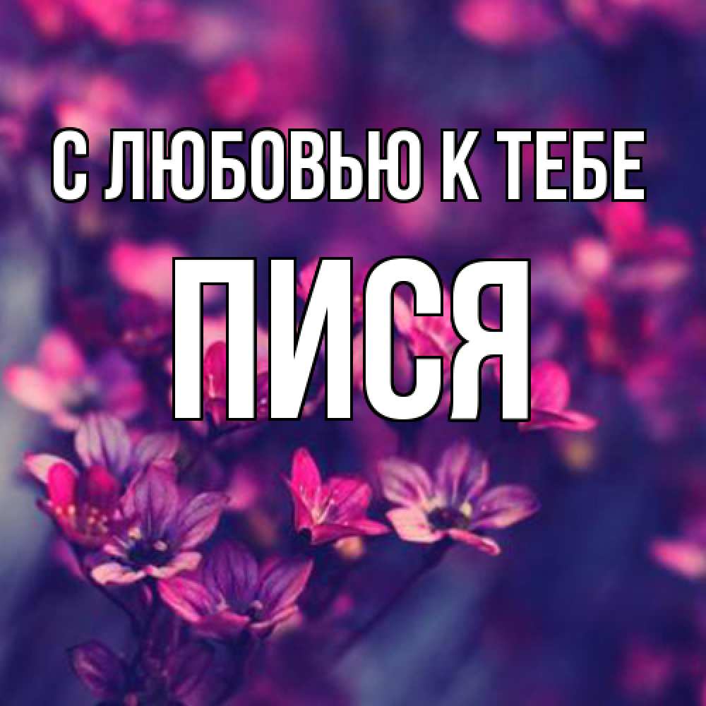 Открытка  с именем. Пися, С любовью к тебе  