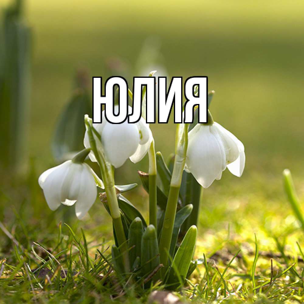 Открытка  с именем. Юлия, Главная  