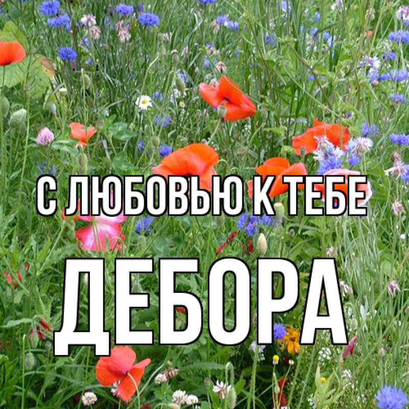 Картинка С любовью к тебе, Дебора
