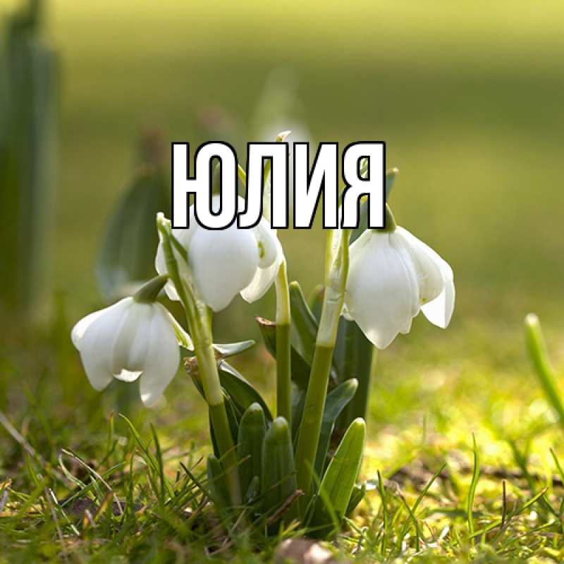 Картинка  с именем , Юлия