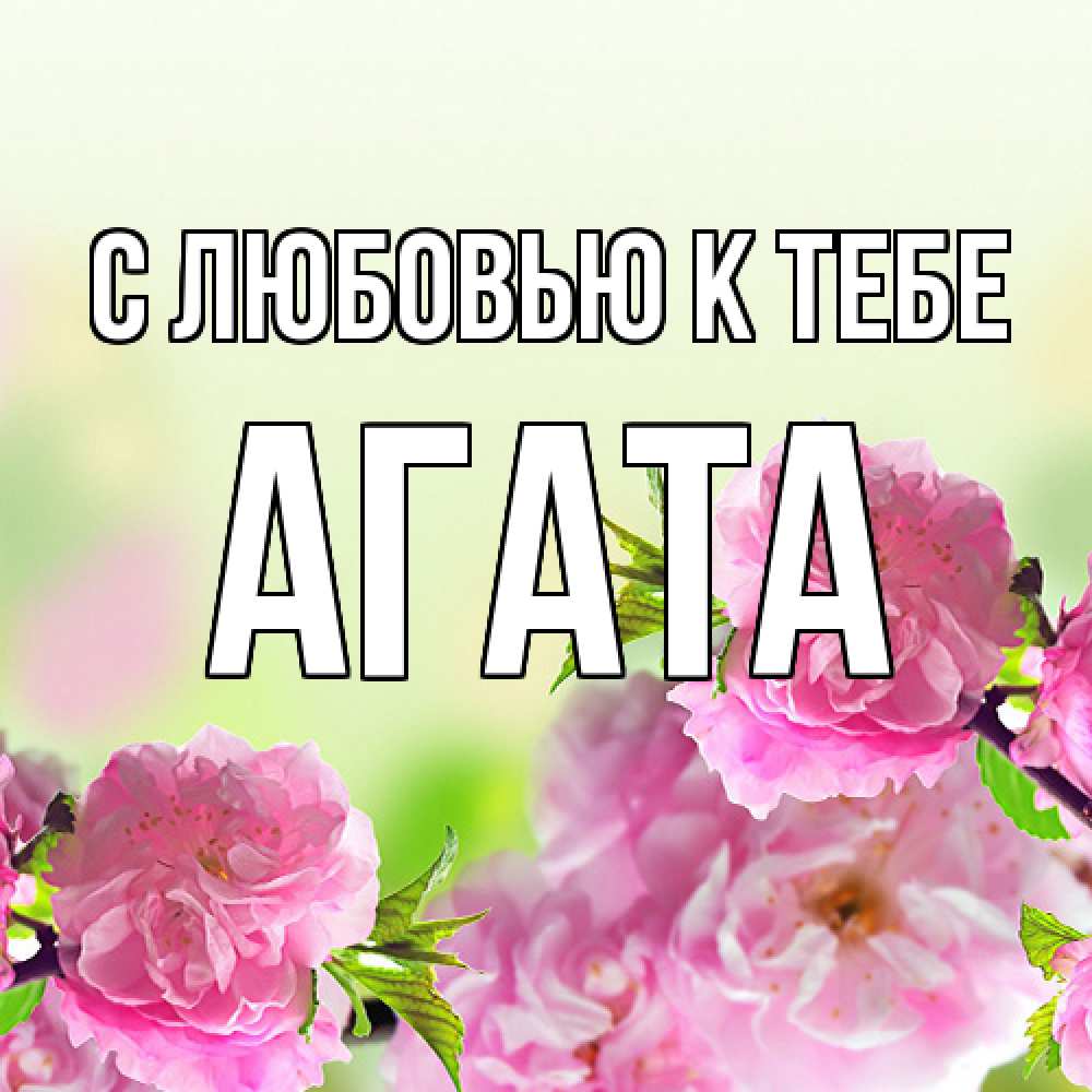 Открытка  с именем. Агата, С любовью к тебе  